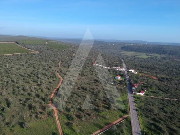 Terreno para Venda em Querença, Tôr e Benafim