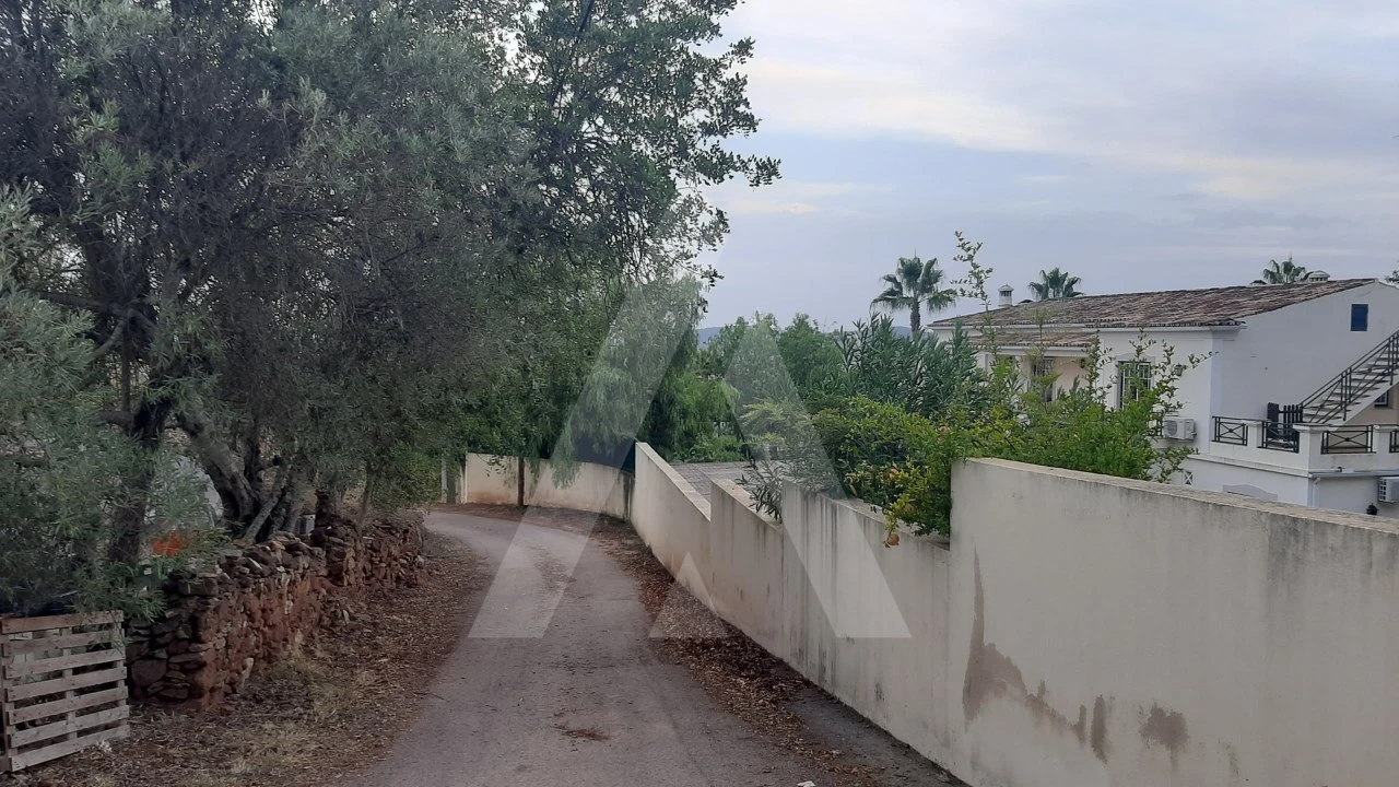 Terreno para Venda em São Brás de Alportel Foto 7