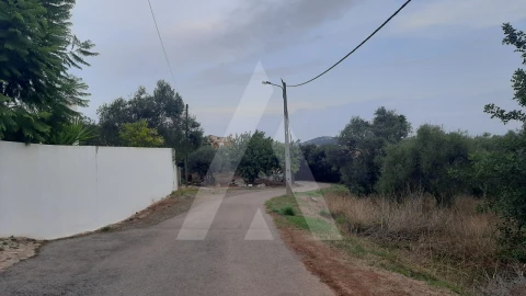 Terreno para Venda em São Brás de Alportel