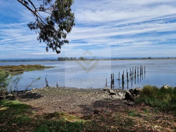 Moradia T3 para Venda em Ovar, São João, Arada e São Vicente de Pereira Jusã