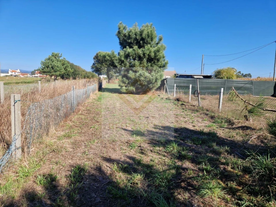 Moradia T3 para Venda em Ovar, São João, Arada e São Vicente de Pereira Jusã Foto 18