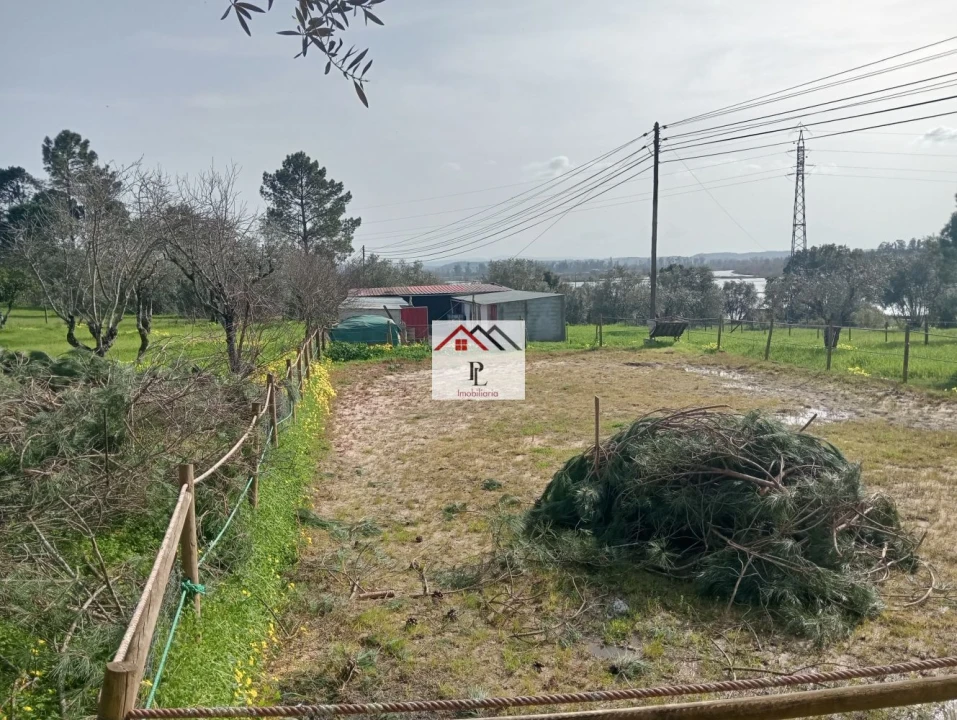 Terreno para Venda em Antuzede e Vil de Matos Foto 8