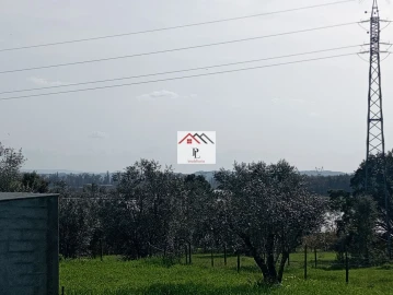 Terreno para Venda em Antuzede e Vil de Matos