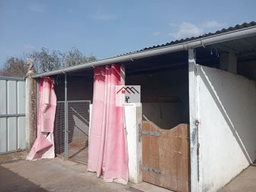 Terreno para Venda em Antuzede e Vil de Matos