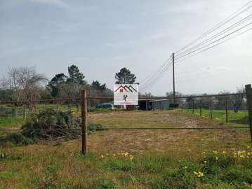 Terreno para Venda em Antuzede e Vil de Matos