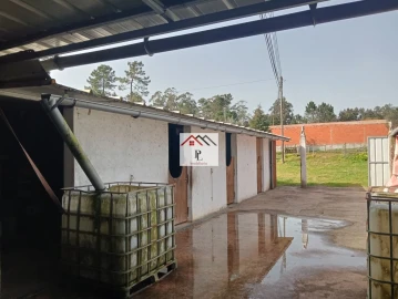 Terreno para Venda em Antuzede e Vil de Matos