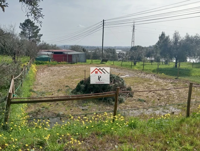 Terreno para Venda em Antuzede e Vil de Matos Foto 28