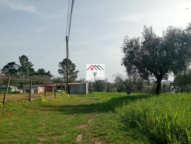 Terreno para Venda em Antuzede e Vil de Matos Foto 5