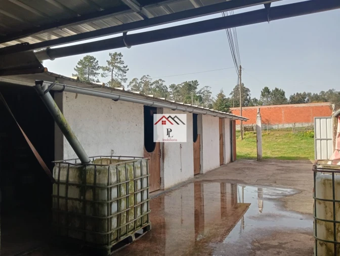 Terreno para Venda em Antuzede e Vil de Matos Foto 14