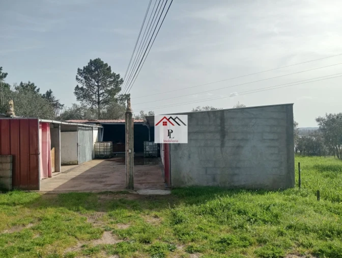Terreno para Venda em Antuzede e Vil de Matos Foto 9