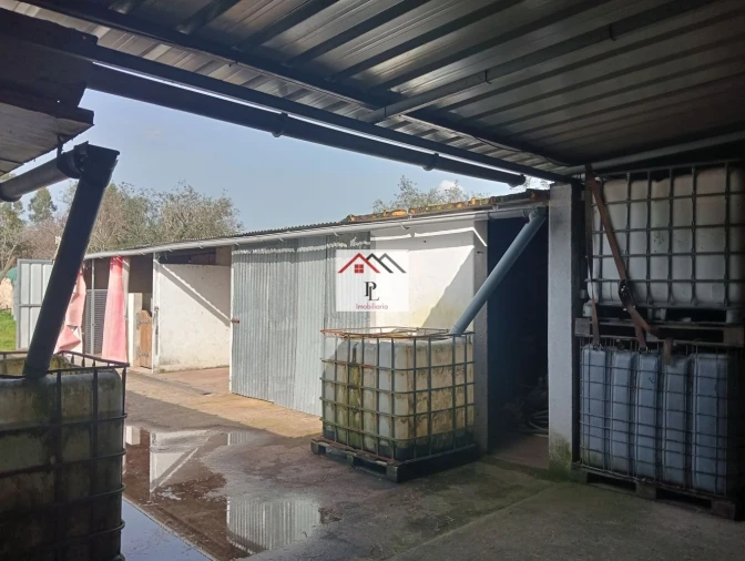 Terreno para Venda em Antuzede e Vil de Matos Foto 17