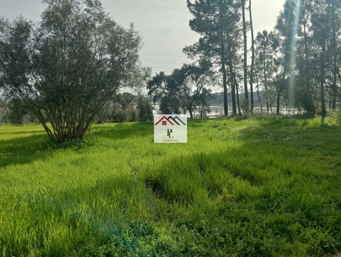 Terreno para Venda em Antuzede e Vil de Matos Foto 29