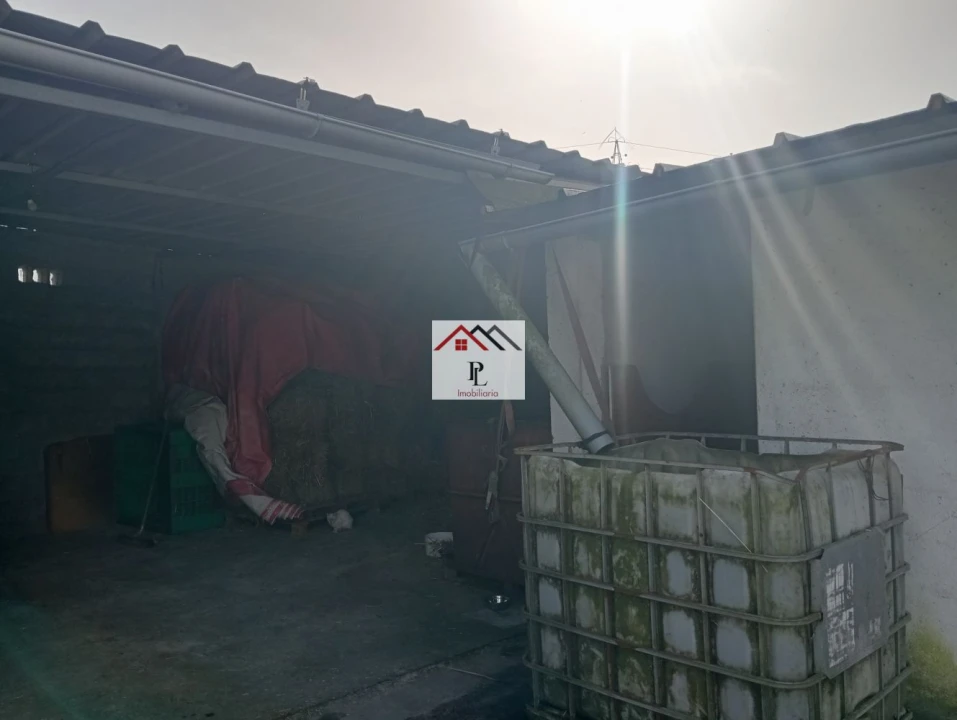 Terreno para Venda em Antuzede e Vil de Matos Foto 13