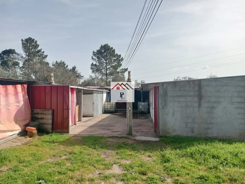 Terreno para Venda em Antuzede e Vil de Matos Foto 10