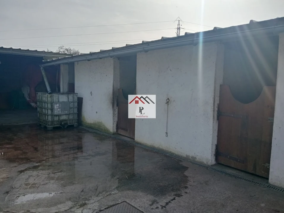 Terreno para Venda em Antuzede e Vil de Matos Foto 7