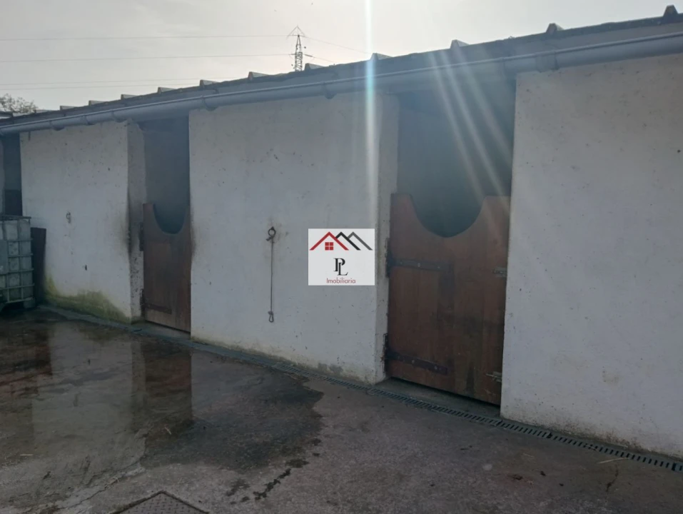 Terreno para Venda em Antuzede e Vil de Matos Foto 3