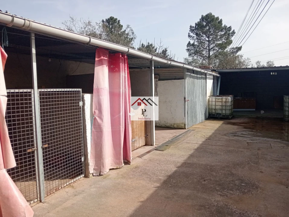 Terreno para Venda em Antuzede e Vil de Matos Foto 11