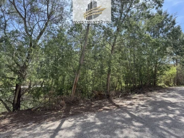 Terreno para Venda em Pampilhosa