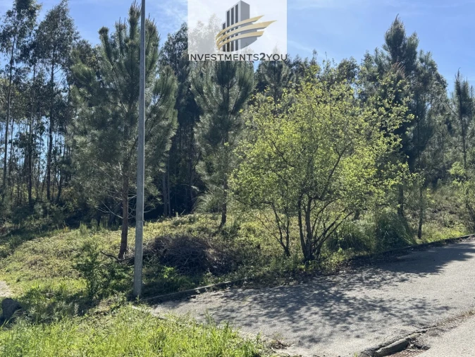 Terreno para Venda em Pampilhosa Foto 3