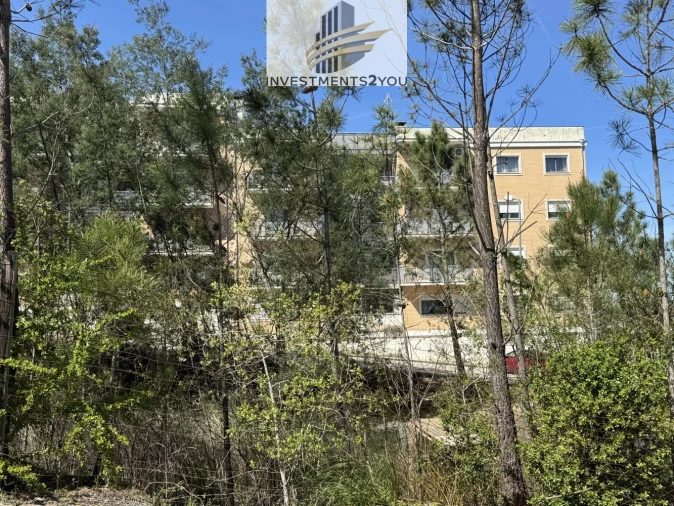 Terreno para Venda em Pampilhosa Foto 2