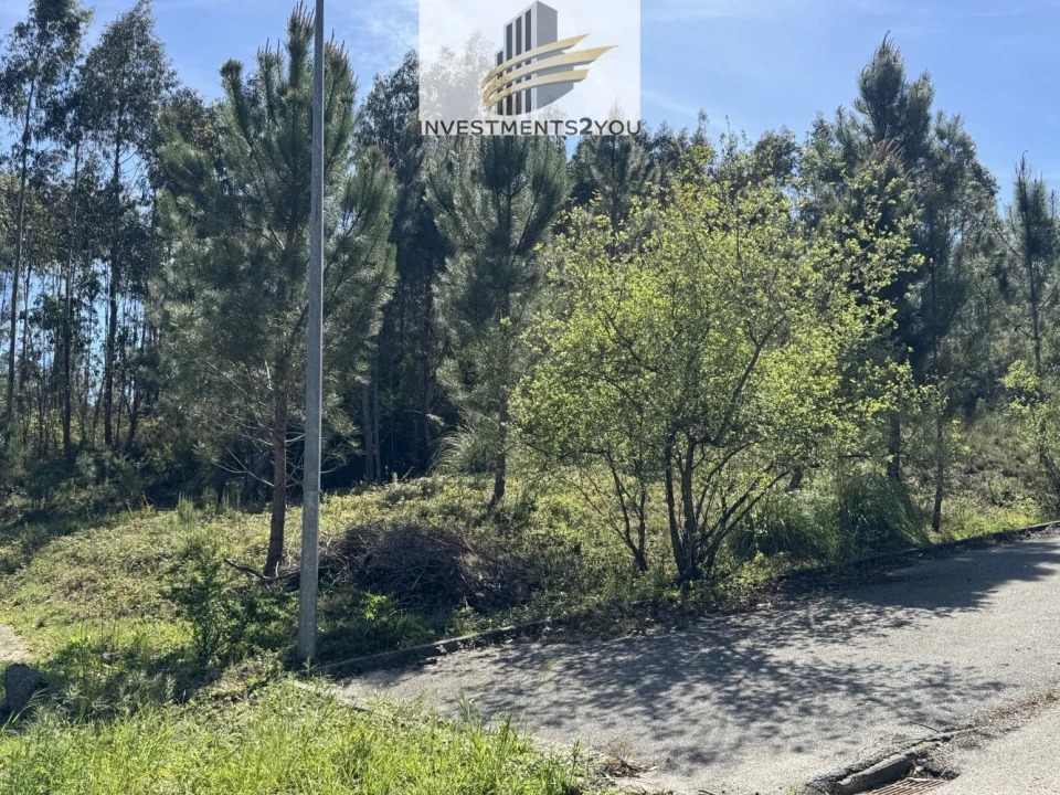 Terreno para Venda em Pampilhosa Foto 6