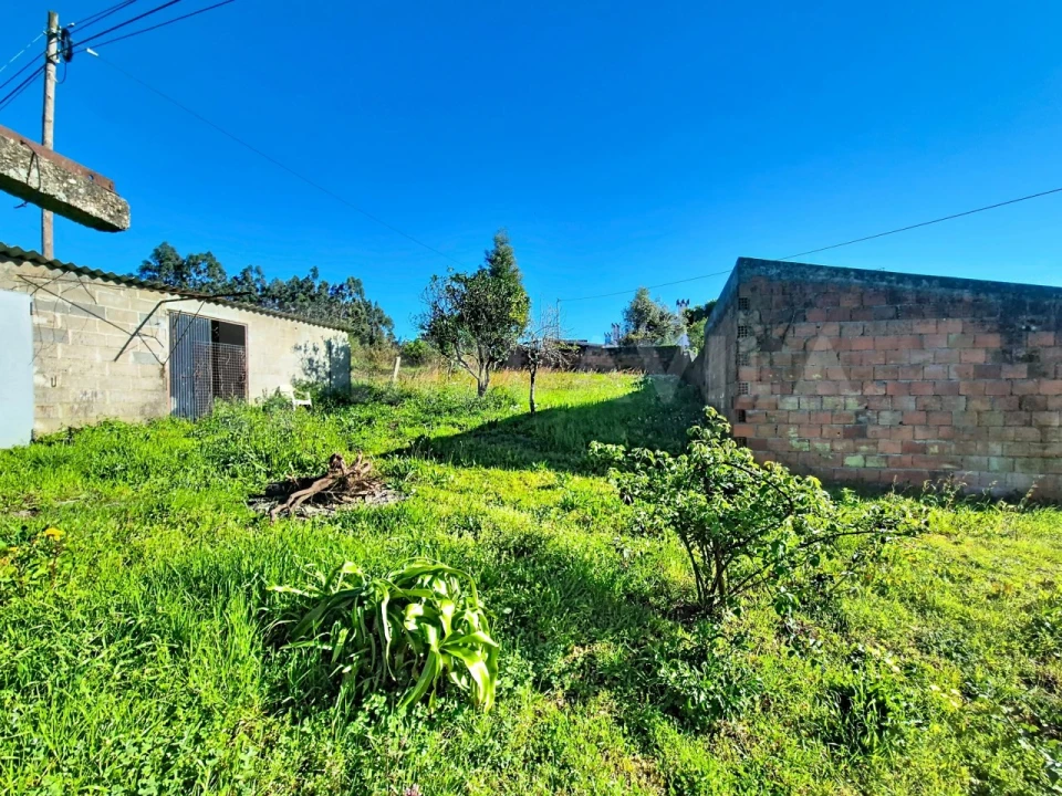 Terreno para Venda em Gandra e Taião Foto 6