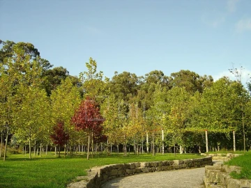 Moradia T4 para Venda em Aldoar, Foz do Douro e Nevogilde