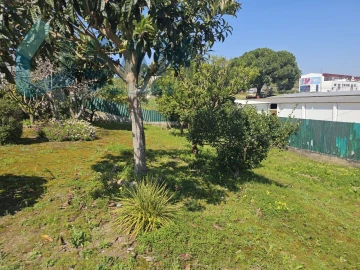 Moradia T2 para Venda em Santa Maria, São Pedro e Matacães