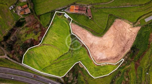 Quinta para Venda em Constance