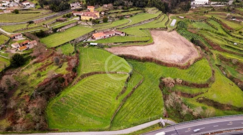 Quinta para Venda em Constance