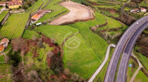 Quinta para Venda em Constance