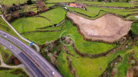 Quinta para Venda em Constance