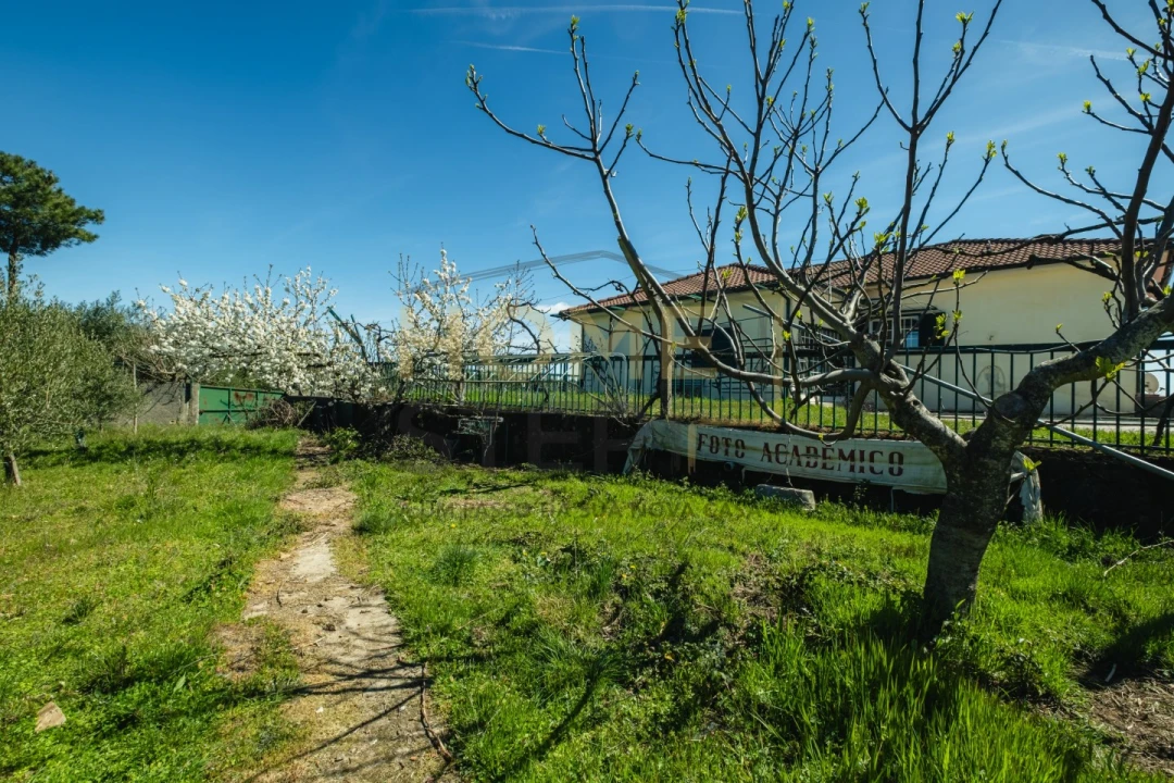 Quinta T4 para Venda em São Pedro de Serracenos Foto 5