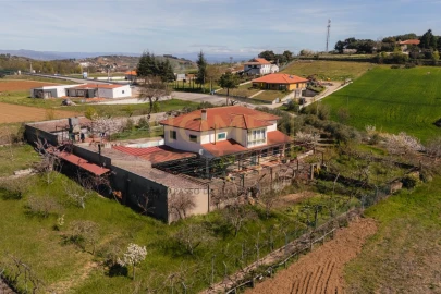 Quinta T4 para Venda em São Pedro de Serracenos