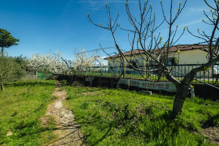 Quinta T4 para Venda em São Pedro de Serracenos Foto 5