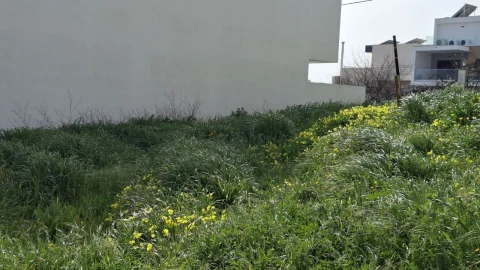 Terreno para Venda em Pontinha e Famões