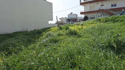 Terreno para Venda em Pontinha e Famões
