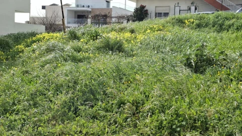 Terreno para Venda em Pontinha e Famões
