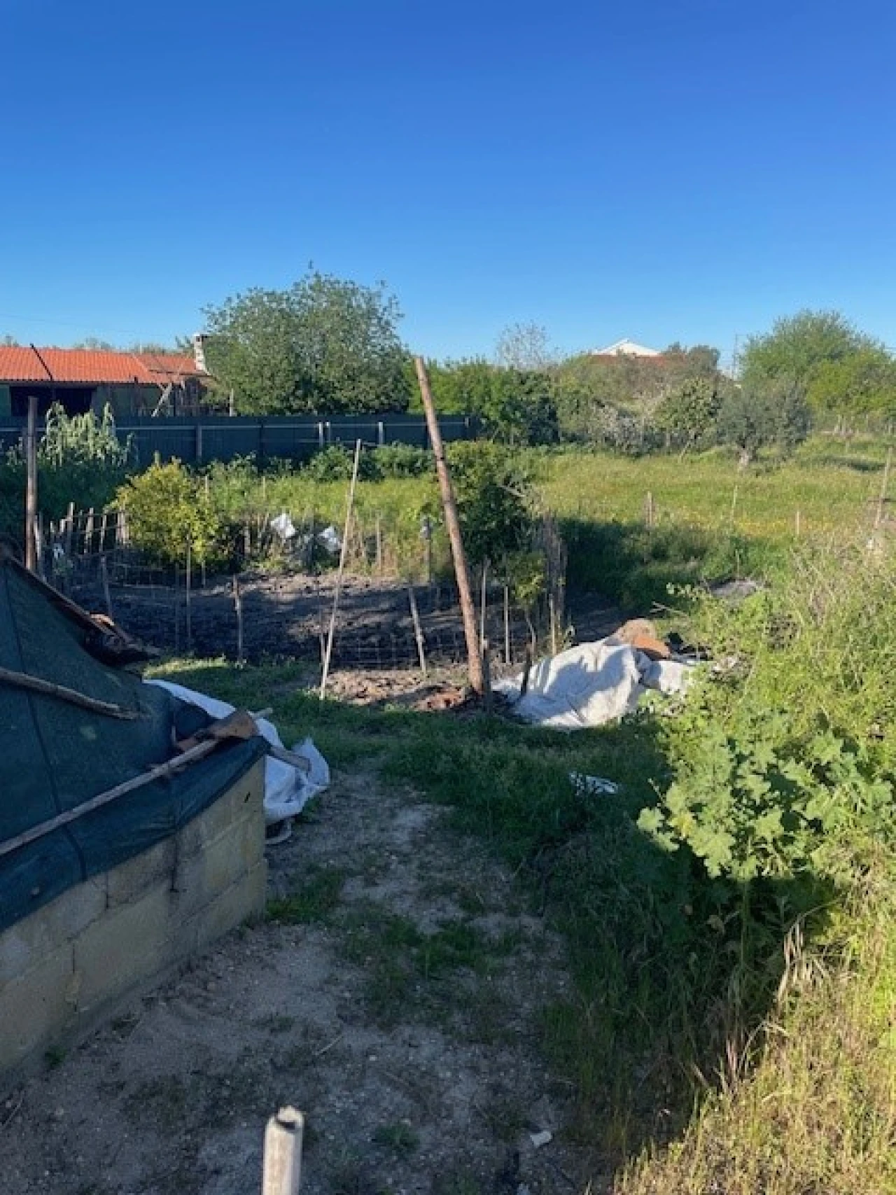 Quinta T2 para Venda em Ponte de Sor, Tramaga e Vale de Açor Foto 5