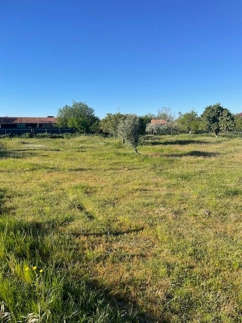 Quinta T2 para Venda em Ponte de Sor, Tramaga e Vale de Açor