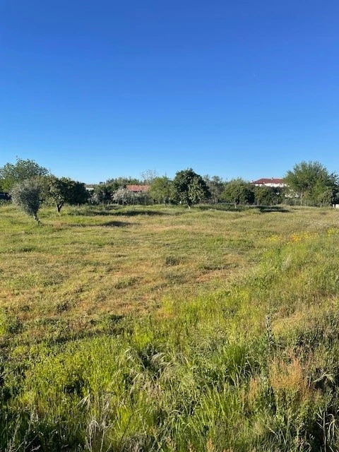 Quinta T2 para Venda em Ponte de Sor, Tramaga e Vale de Açor