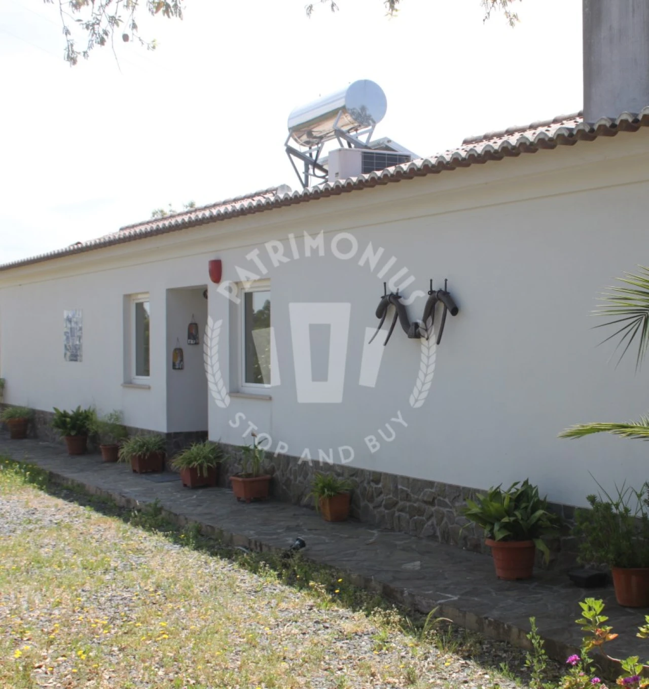 Quinta T2 para Venda em São Domingos e Vale de Água Foto 2