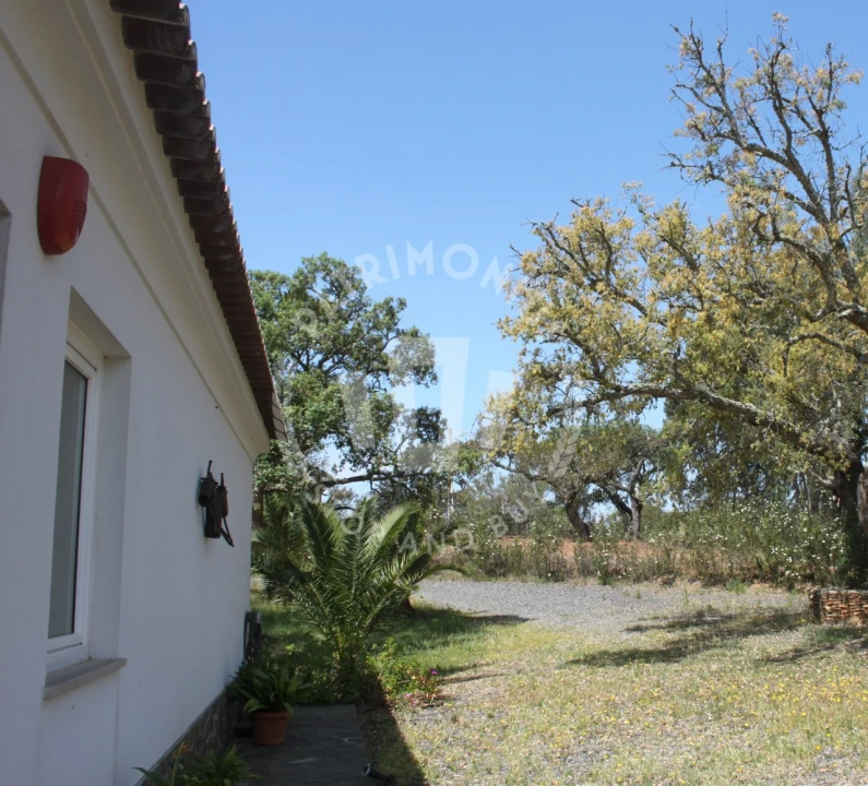 Quinta T2 para Venda em São Domingos e Vale de Água Foto 9
