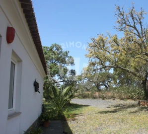 Quinta T2 para Venda em São Domingos e Vale de Água