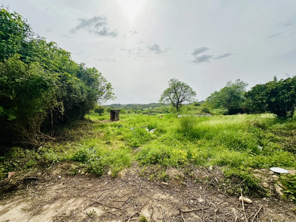 Quinta para Venda em São Miguel do Rio Torto e Rossio Ao Sul do Tejo Foto 4