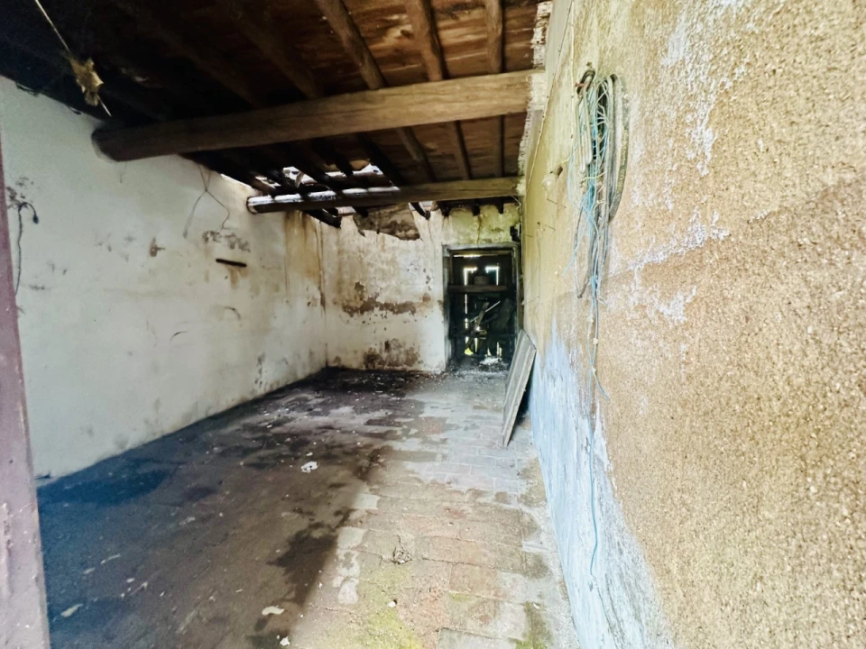 Quinta para Venda em São Miguel do Rio Torto e Rossio Ao Sul do Tejo Foto 8