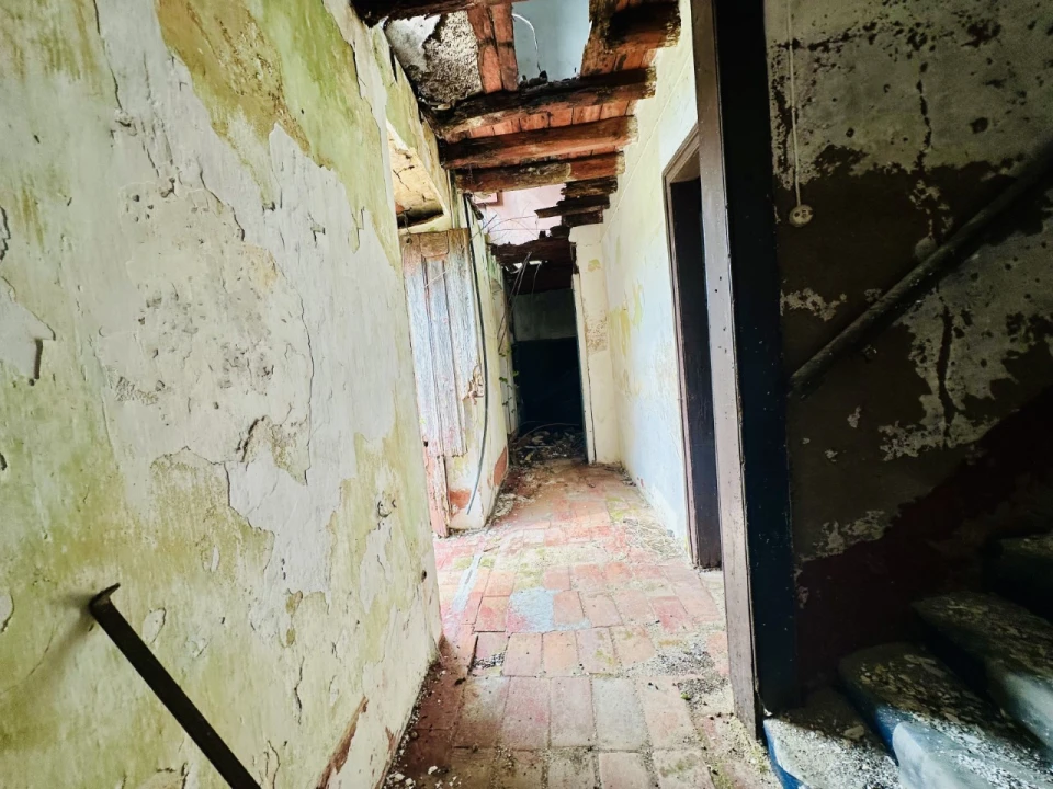 Quinta para Venda em São Miguel do Rio Torto e Rossio Ao Sul do Tejo Foto 9