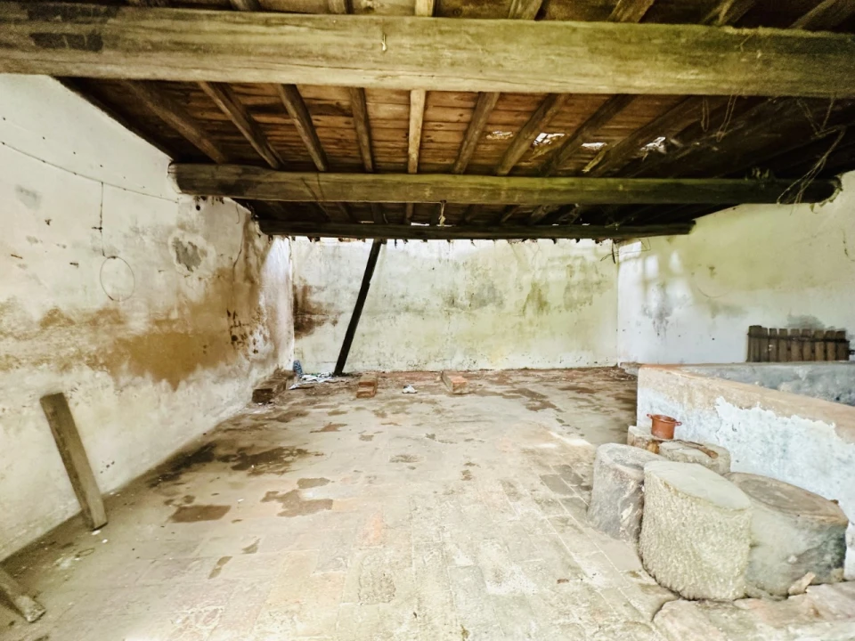 Quinta para Venda em São Miguel do Rio Torto e Rossio Ao Sul do Tejo Foto 11