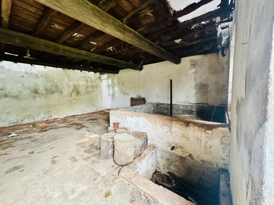 Quinta para Venda em São Miguel do Rio Torto e Rossio Ao Sul do Tejo Foto 12