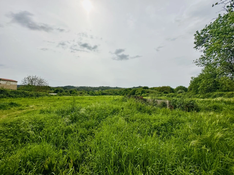 Quinta para Venda em São Miguel do Rio Torto e Rossio Ao Sul do Tejo Foto 5
